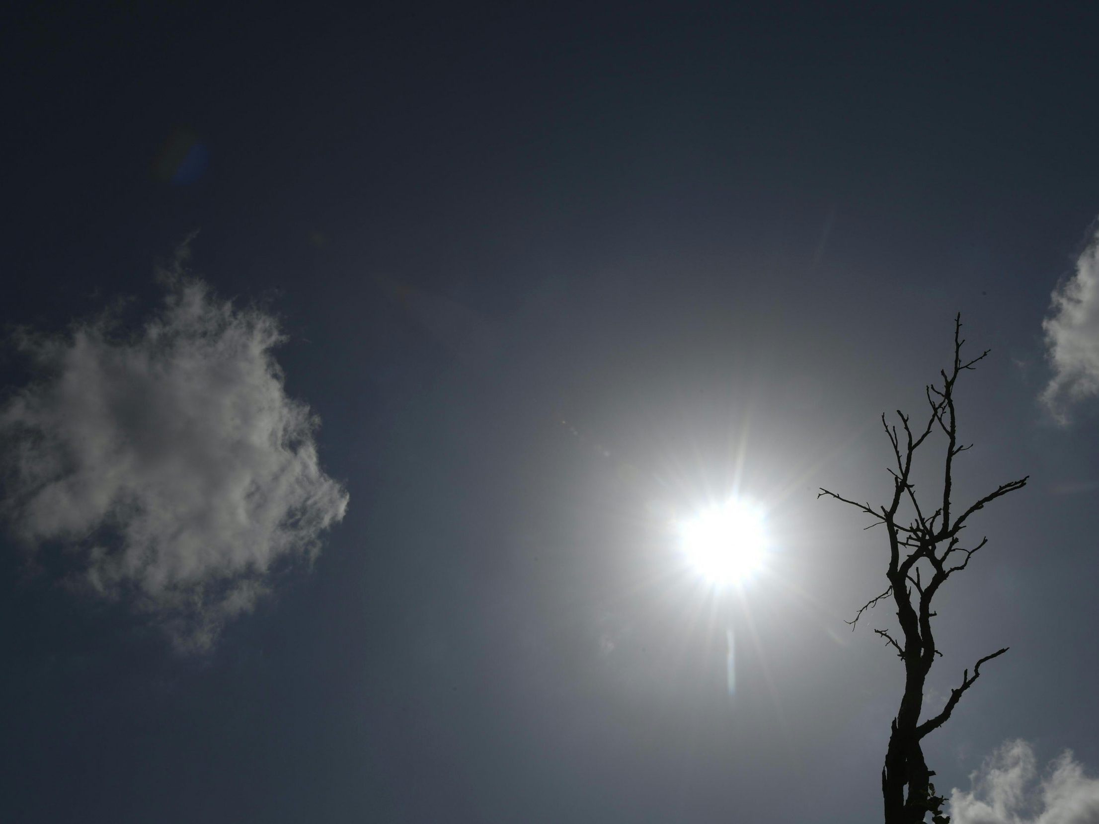 Die Sonne am Himmel vor ausgetrockneten Zweigen. Die Sonne am Himmel vor ausgetrockneten Zweigen.