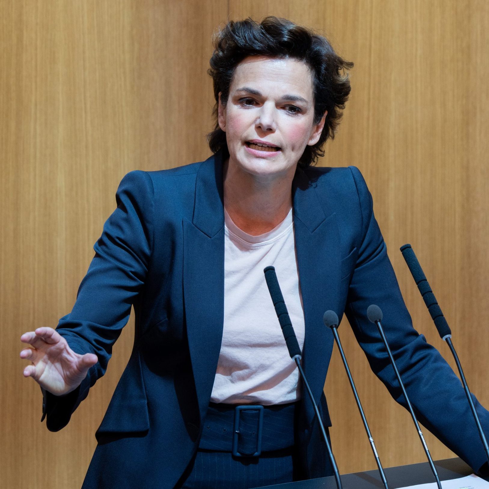 Pamela Rendi-Wagner soll sich für einen ECDC-Spitzenjob beworben haben.