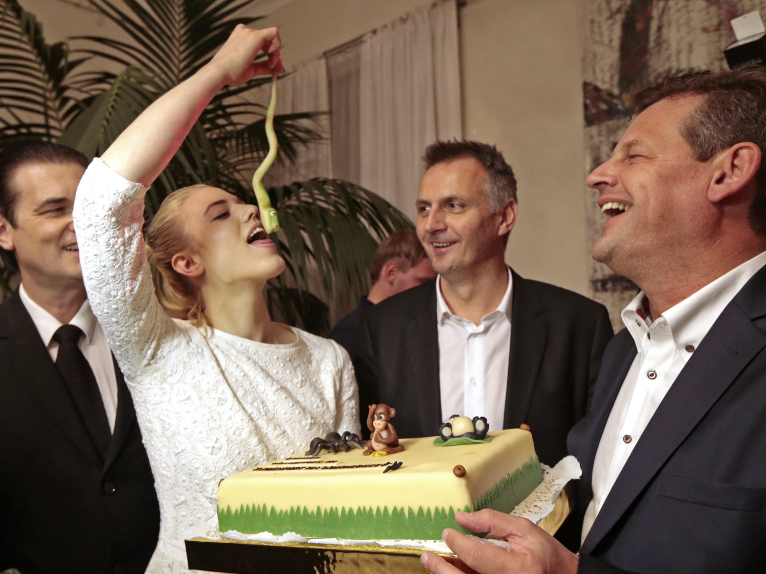 Das Dschungelcamp des deutschen Senders RTL feiert sein 20-jähriges Bestehen. Das Dschungelcamp des deutschen Senders RTL feiert sein 20-jähriges Bestehen.