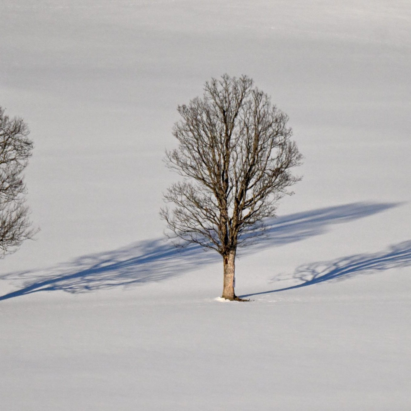 Wintertourismus hängt im Jännerloch.