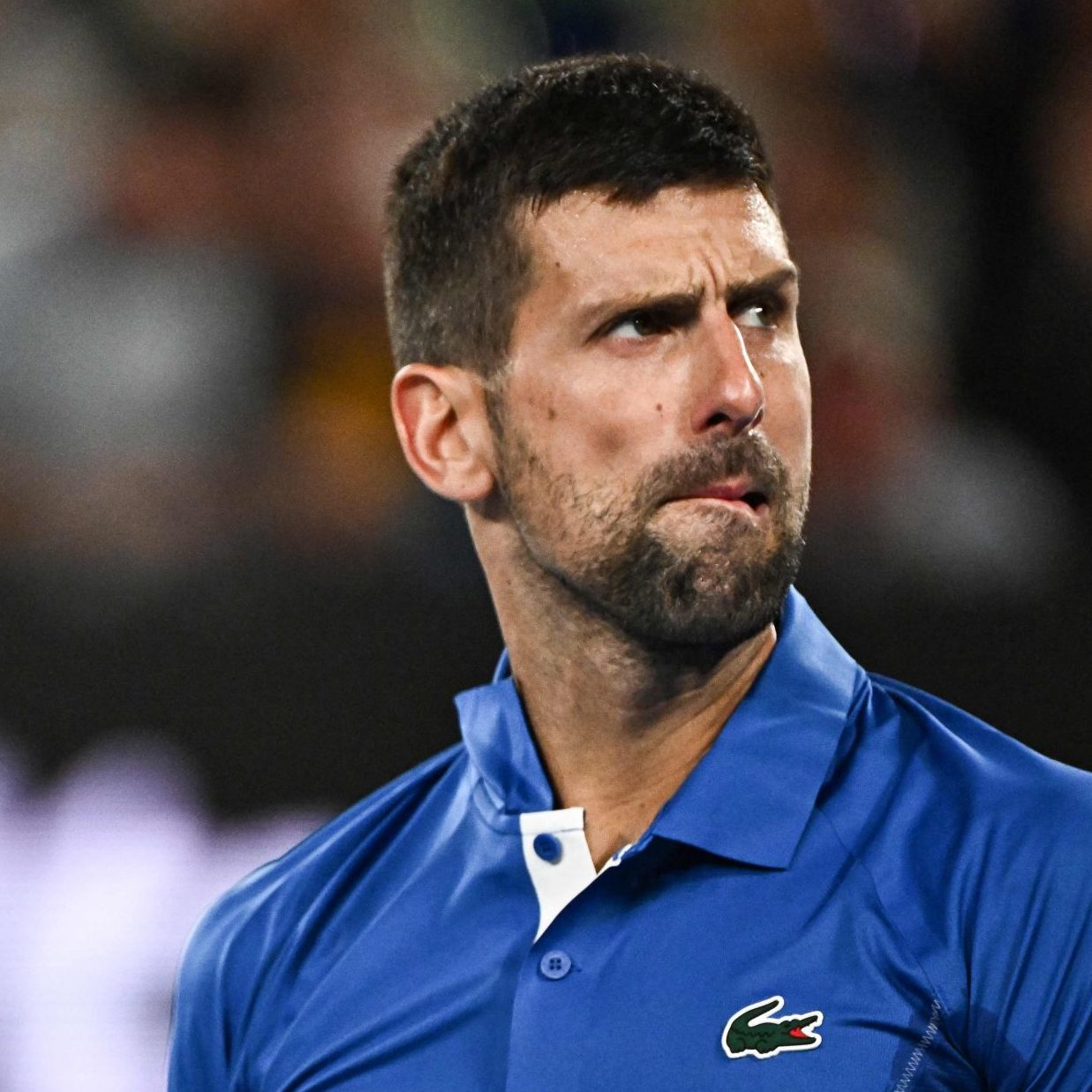 Novak Djokovic zoffte sich während seinem Match mit einem Zuschauer.