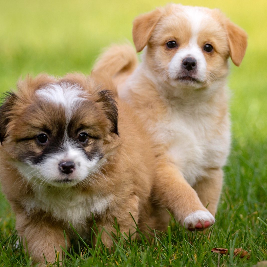 Dieser Trendsport sorgt für Aufregung.