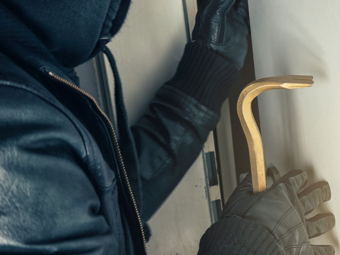 Die Bande verursachte einen Schaden von rund 50.000 Euro.
