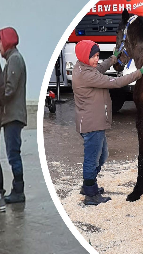 Hengst "Wertiko" konnte wieder auf die Beine gestellt werden.