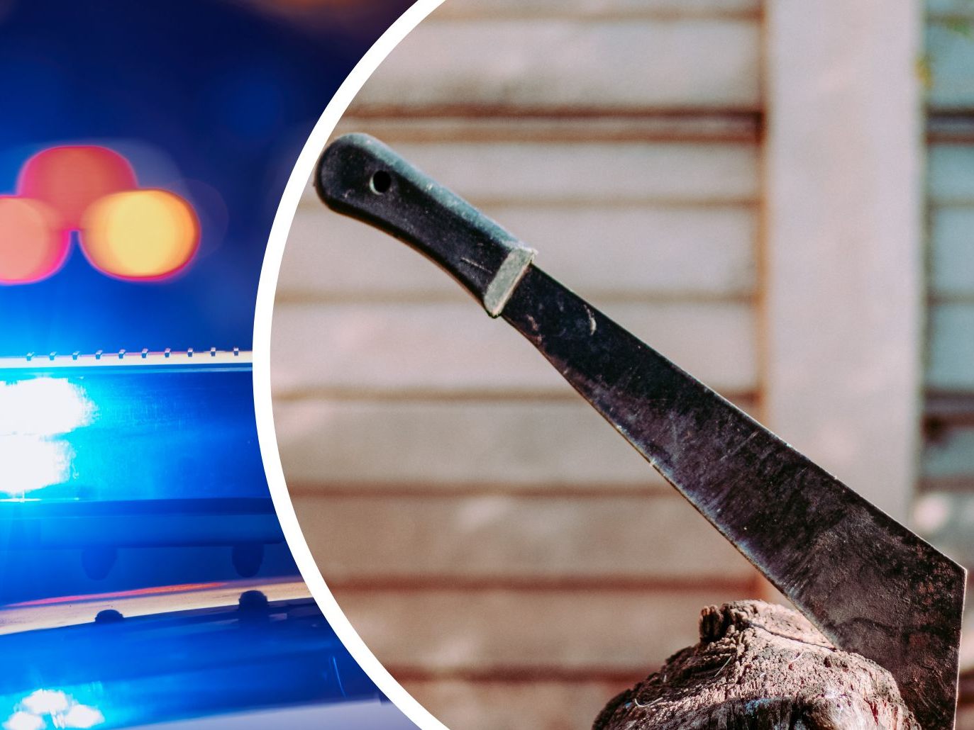 Die Polizei erschoss einen Angreifer mit einer Machete im Burgenland. Die Polizei erschoss einen Angreifer mit einer Machete im Burgenland.