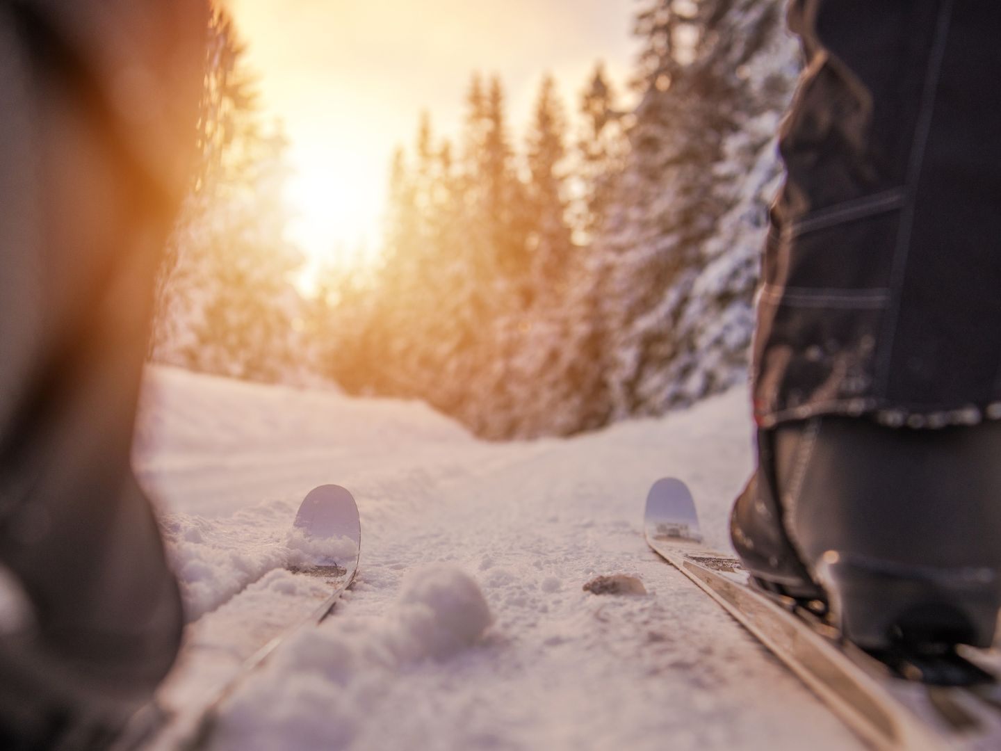 Der Skifahrer wollte zu Fuß durch ein bewaldetes Gebiet am Hochkar und stürzte dabei in den Tod. Der Skifahrer wollte zu Fuß durch ein bewaldetes Gebiet am Hochkar und stürzte dabei in den Tod.