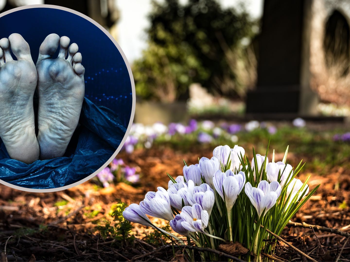 Mumifizierte Leiche gefunden