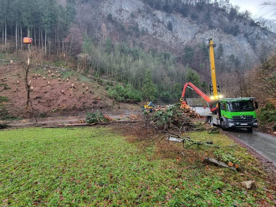 Darum war der Klauser Wald einen Monat lang gesperrt Götzis VOL.AT
