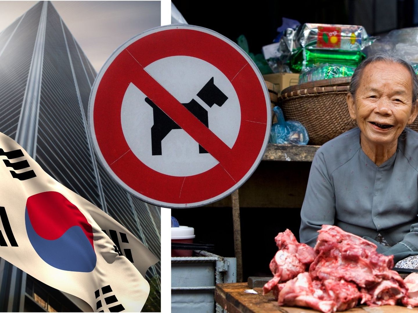 In Südkorea wurde ein Gesetz verabschiedet, das ab 2027 den Verzehr, die Zucht und den Handel von Hundefleisch verbietet.