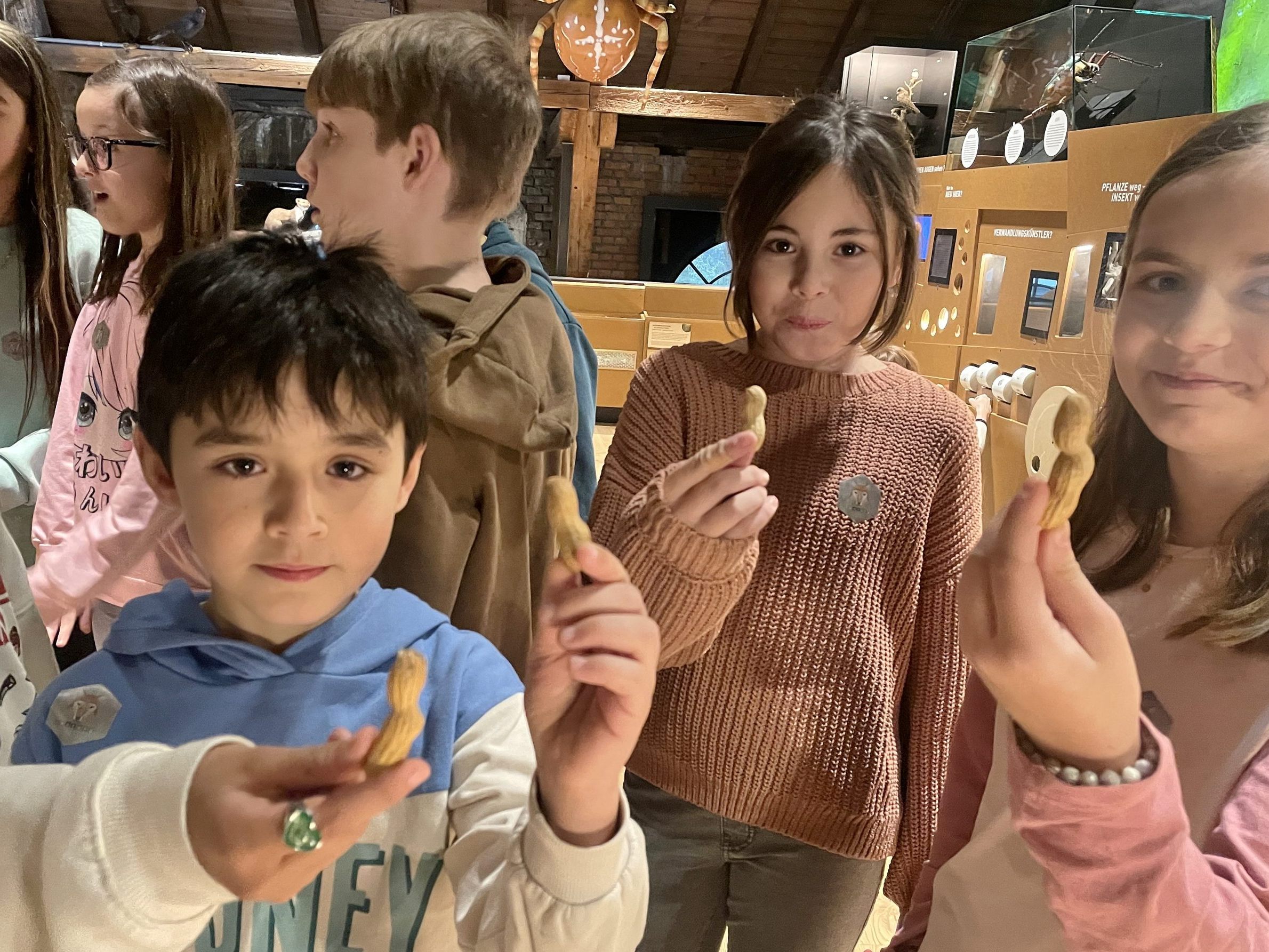 Die 4a-Kinder der VS Leopold spielten einen Nachmittag lang Eichhörnchen und lernten wie diese überwintern. Die 4a-Kinder der VS Leopold spielten einen Nachmittag lang Eichhörnchen und lernten wie diese überwintern.