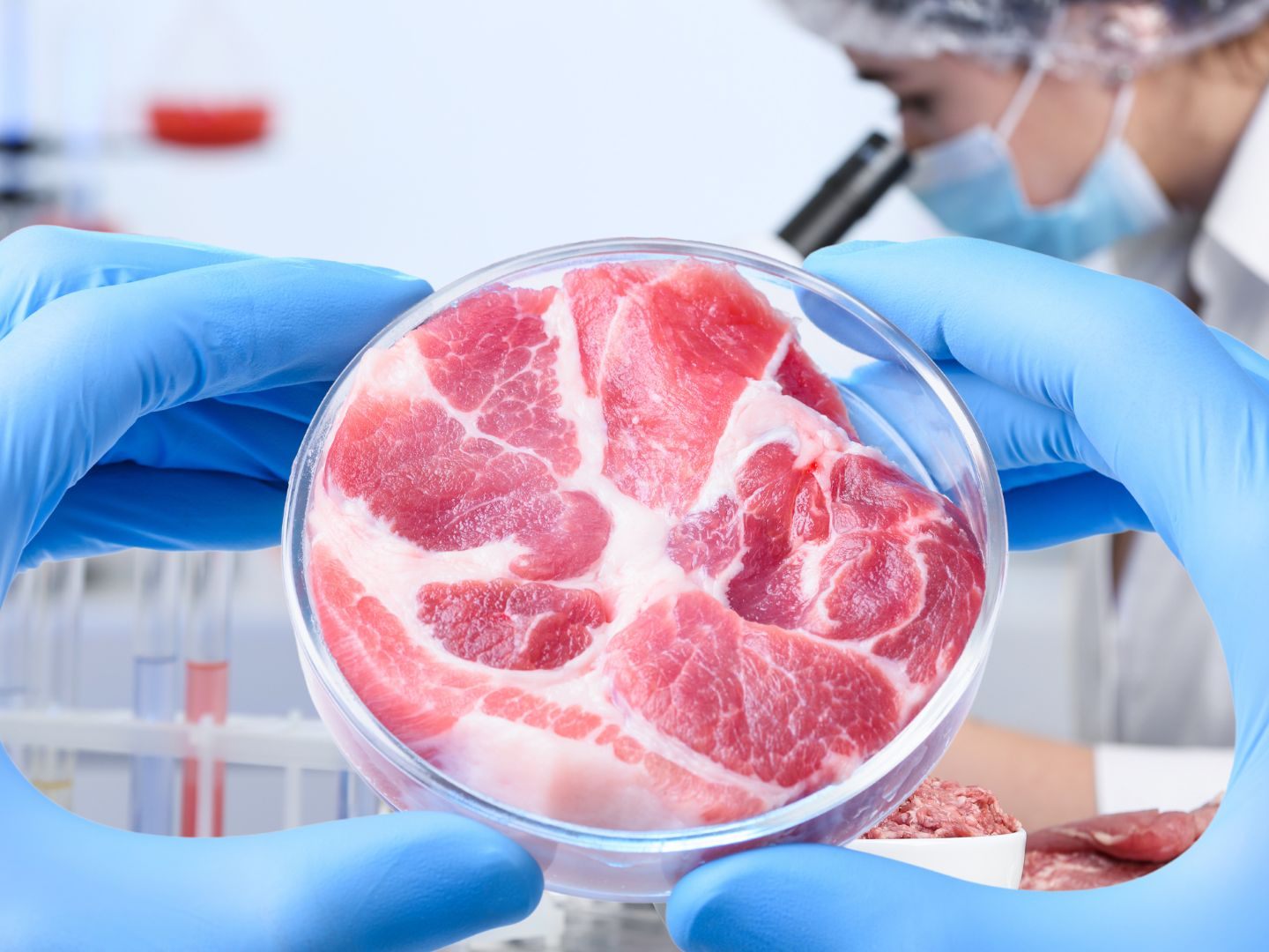 EU-Landwirtschaftsminister diskutieren über die mögliche Einführung von künstlich gezüchtetem Fleisch als Alternative in der EU. EU-Landwirtschaftsminister diskutieren über die mögliche Einführung von künstlich gezüchtetem Fleisch als Alternative in der EU.