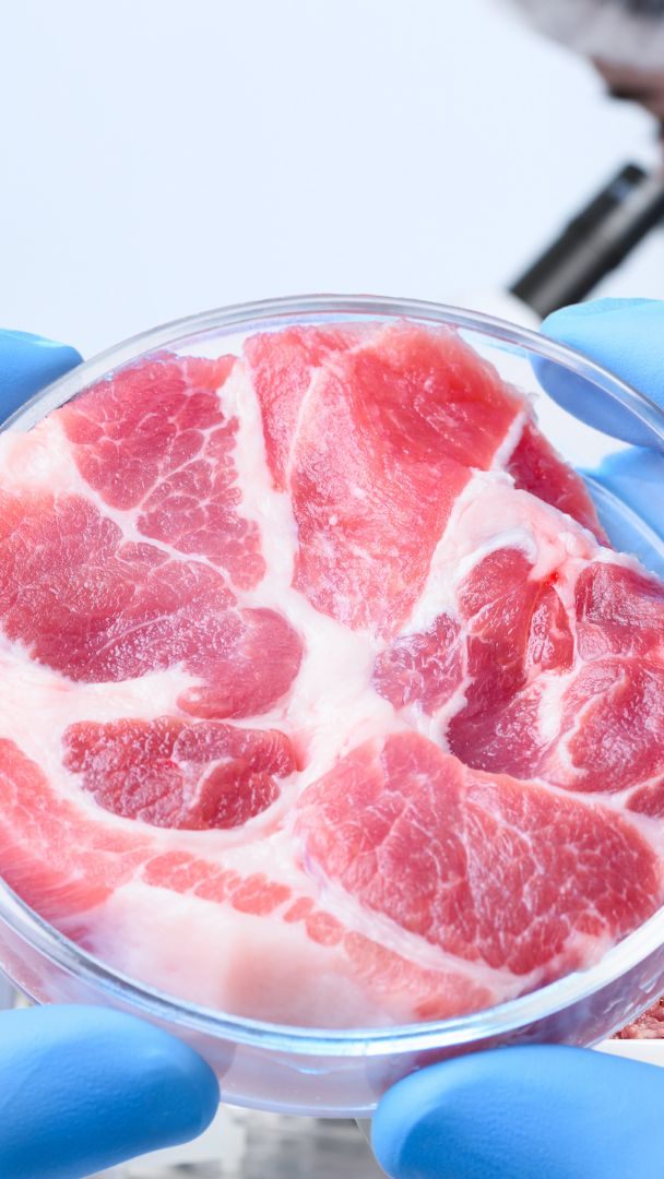 EU-Landwirtschaftsminister diskutieren über die mögliche Einführung von künstlich gezüchtetem Fleisch als Alternative in der EU.