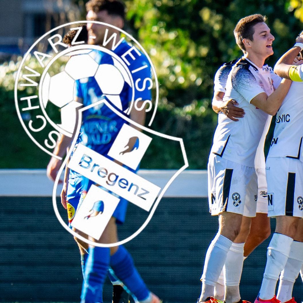 Es gibt eine Entscheidung des Senat 5 zur "Brasilianer-Causa" von SW Bregenz.