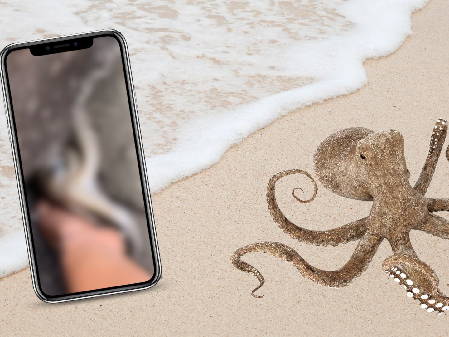 Ein Spaziergänger rettet einen Oktopus, der sich dankbar zeigt, und erlebt daraufhin das seltene Naturphänomen eines doppelten Regenbogens und eines rosafarbenen Himmels. Ein Spaziergänger rettet einen Oktopus, der sich dankbar zeigt, und erlebt daraufhin das seltene Naturphänomen eines doppelten Regenbogens und eines rosafarbenen Himmels.