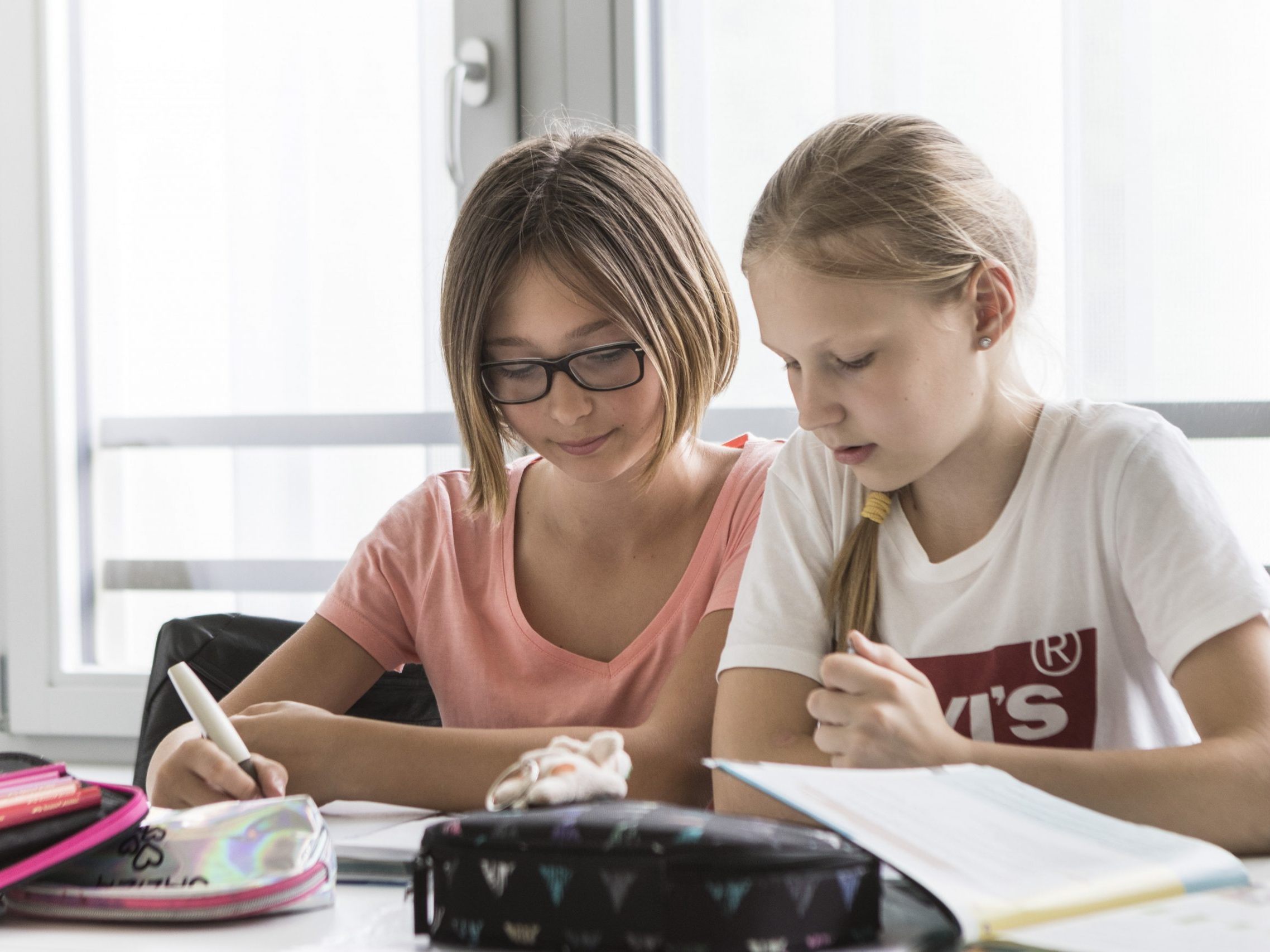 Ab kommendem Montag können Wiens Schüler zur kostenlosen Nachhilfe angemeldet werden. Ab kommendem Montag können Wiens Schüler zur kostenlosen Nachhilfe angemeldet werden.