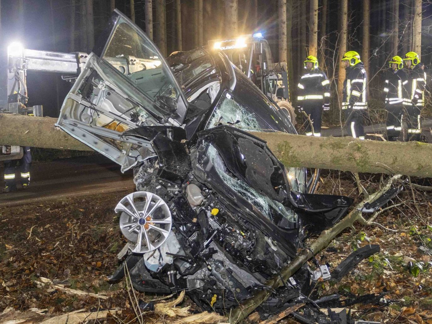 Der Stamm durchbohrte den Wagen der jungen Frau. Der Stamm durchbohrte den Wagen der jungen Frau.