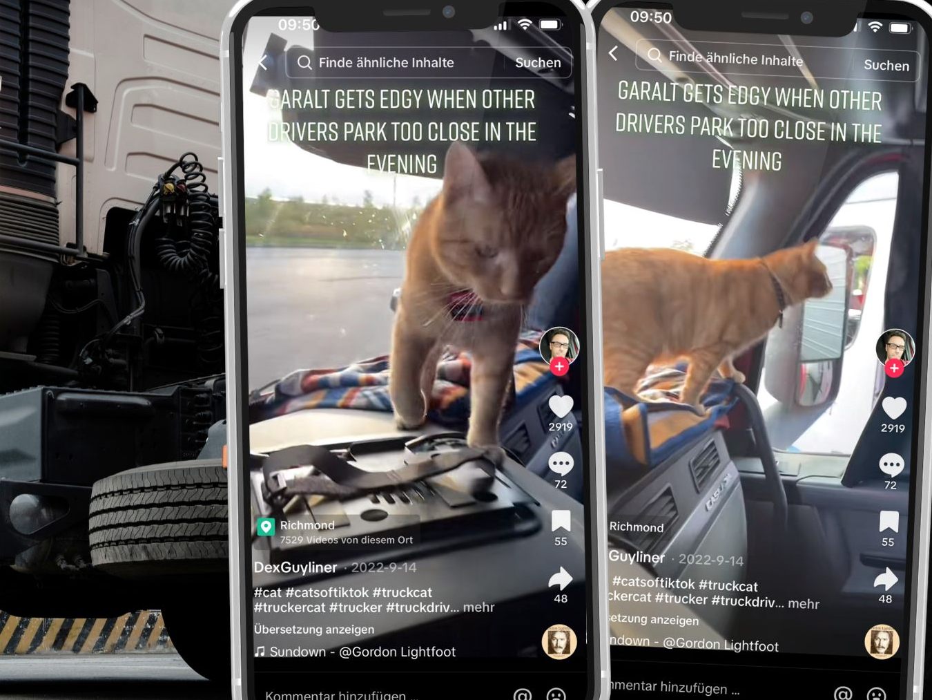 Ein Lkw-Fahrer und seine Katze erobern die Straßen und Herzen. Ein Lkw-Fahrer und seine Katze erobern die Straßen und Herzen.