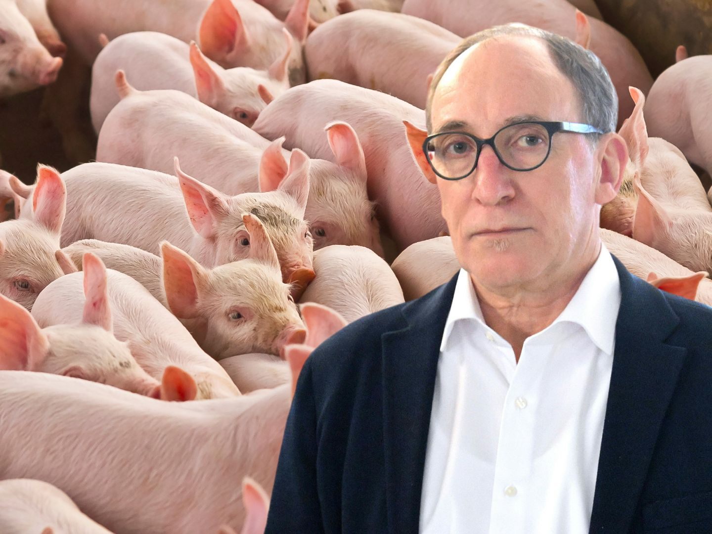 Betroffene seien nicht in Entscheidung eingebunden