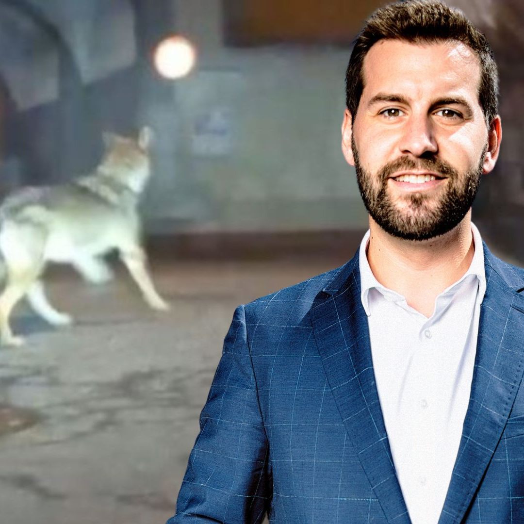 Tschann begrüße Abschussfreigabe