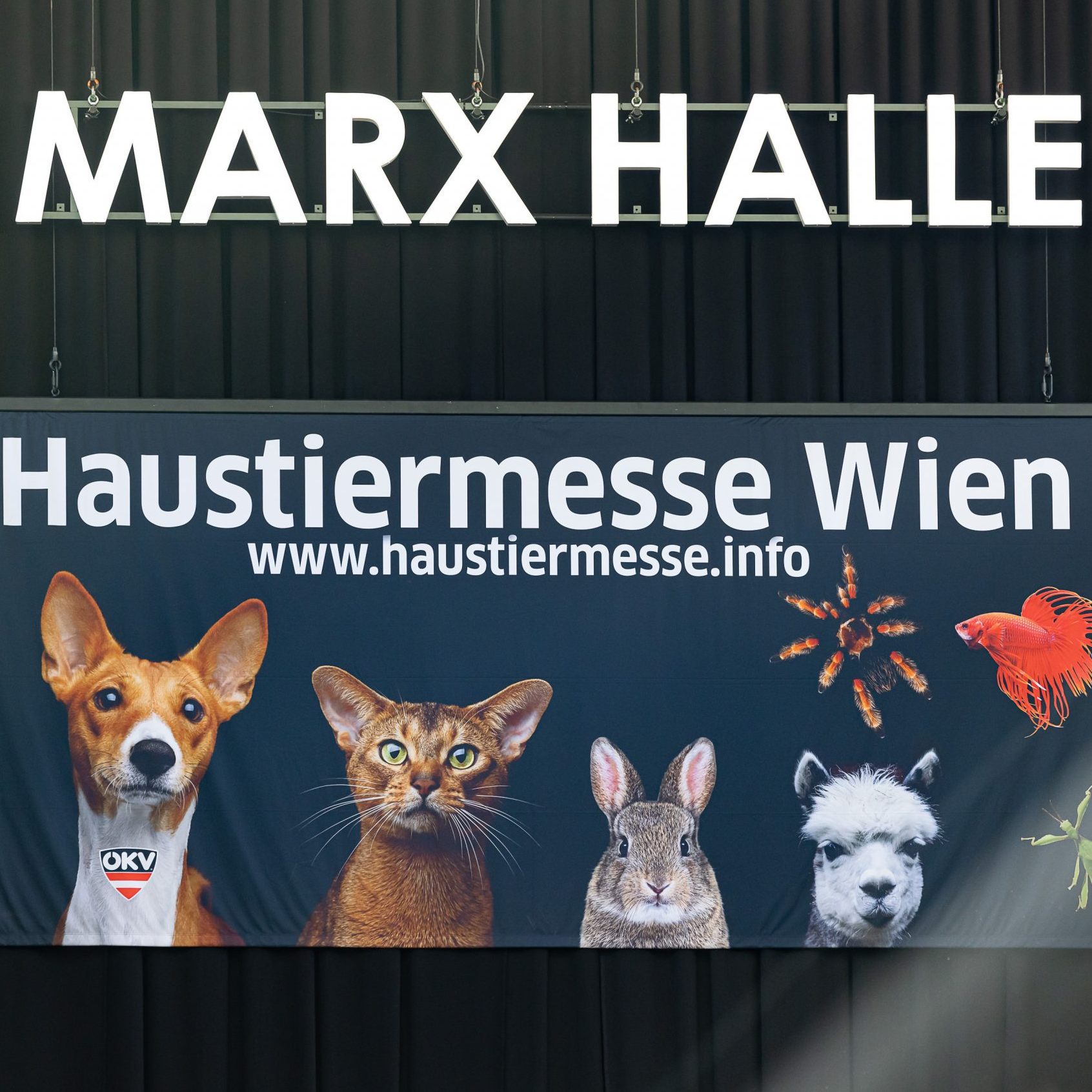 Die Haustiermesse Wien 2024 wird deutlich größer.