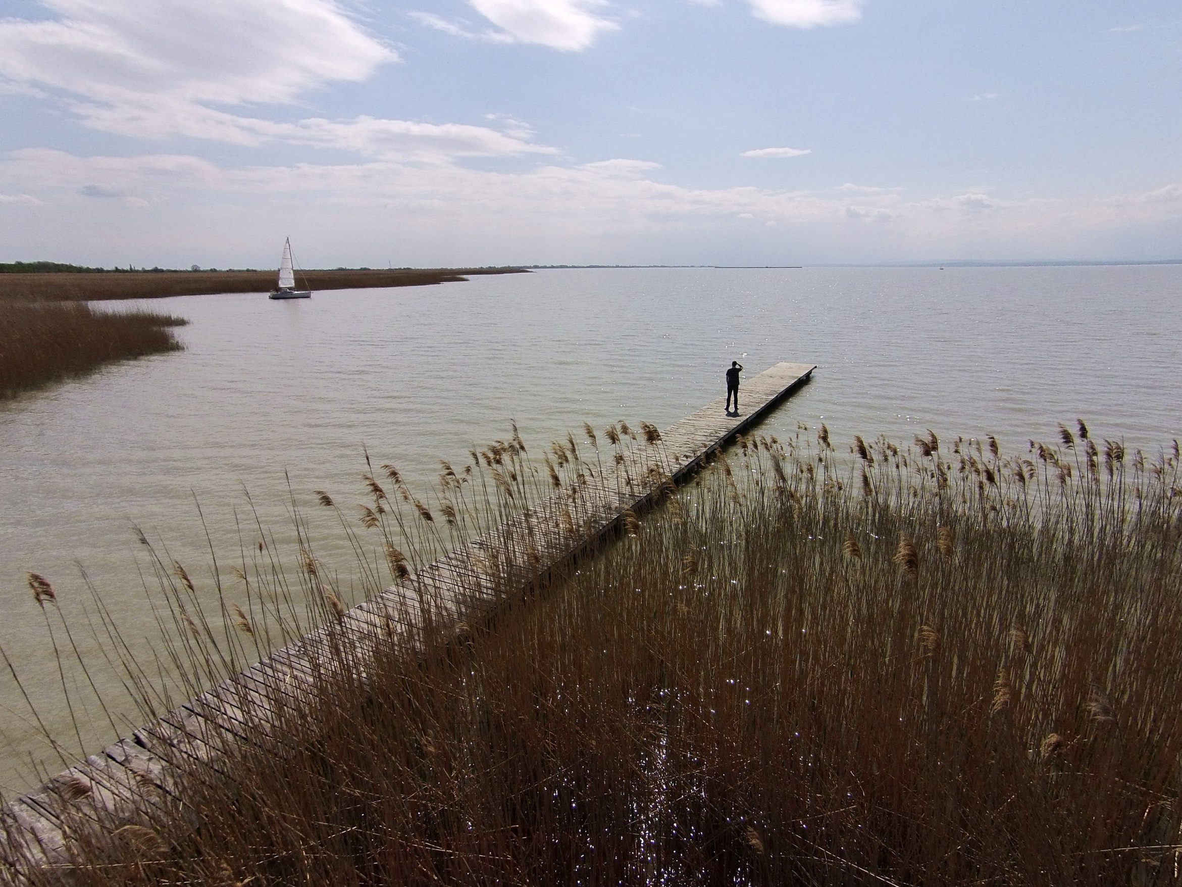 Ein Fischer entdeckte eine männliche Leiche im Neusiedler See. Ein Fischer entdeckte eine männliche Leiche im Neusiedler See.