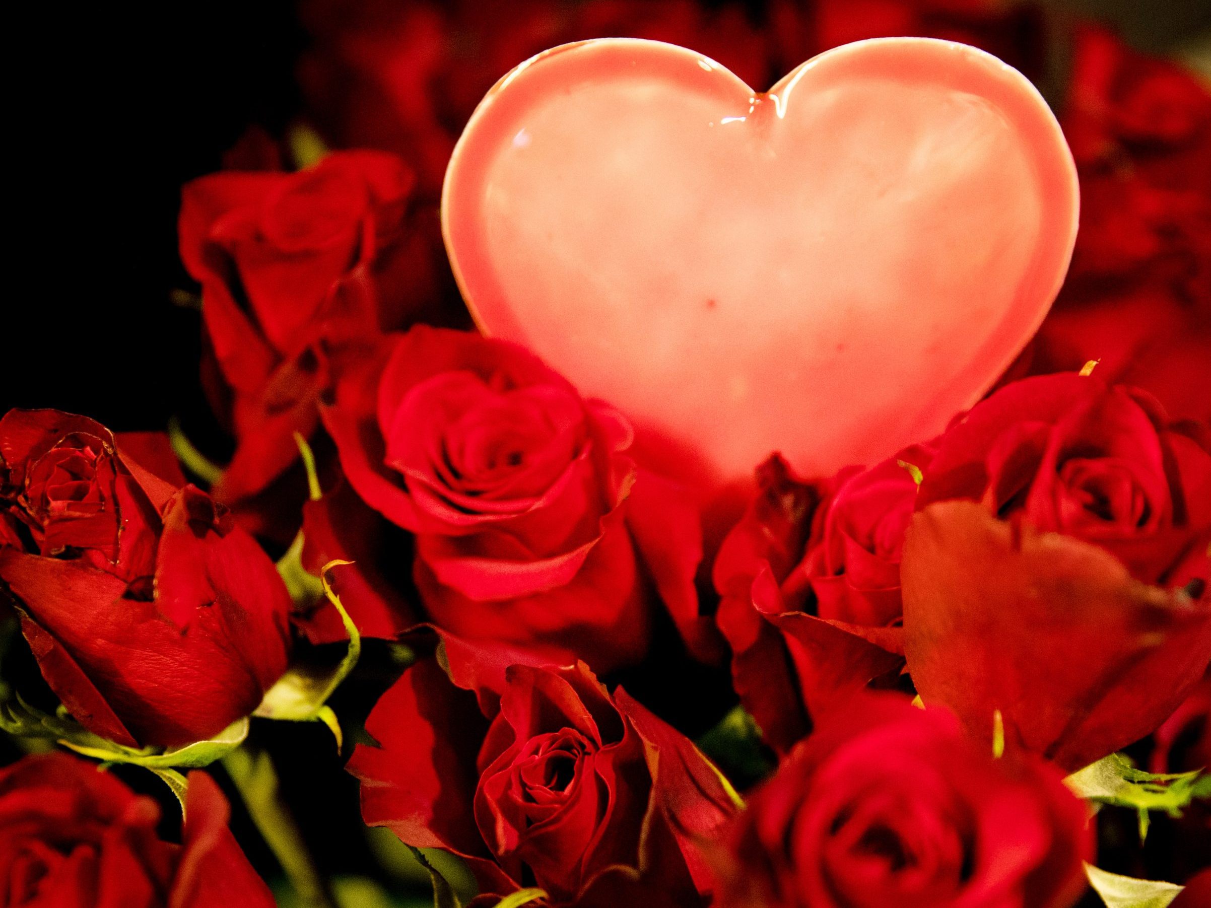 Blumen sind an der Spitze der beliebtesten Geschenke zum Valentinstag. Blumen sind an der Spitze der beliebtesten Geschenke zum Valentinstag.