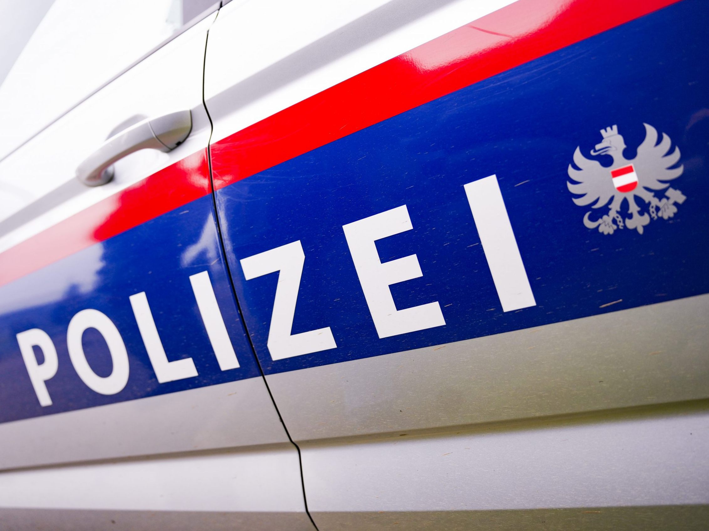 Die Wiener Polizei schnappte den mutmaßlichen Einbrecher.