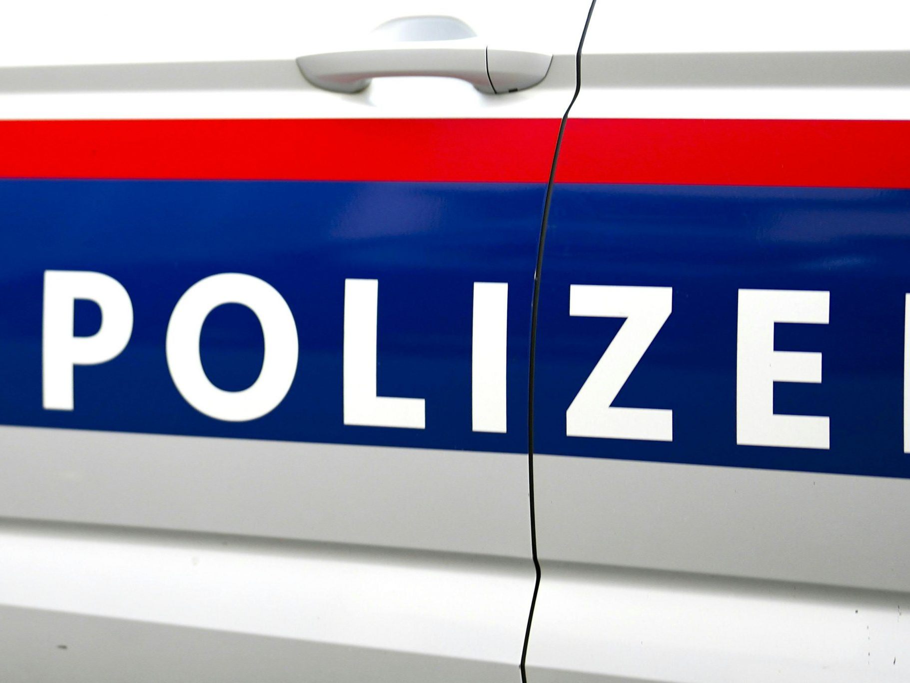 Die Polizei konnte ein Einbrecher-Duo festnehmen. Die Polizei konnte ein Einbrecher-Duo festnehmen.