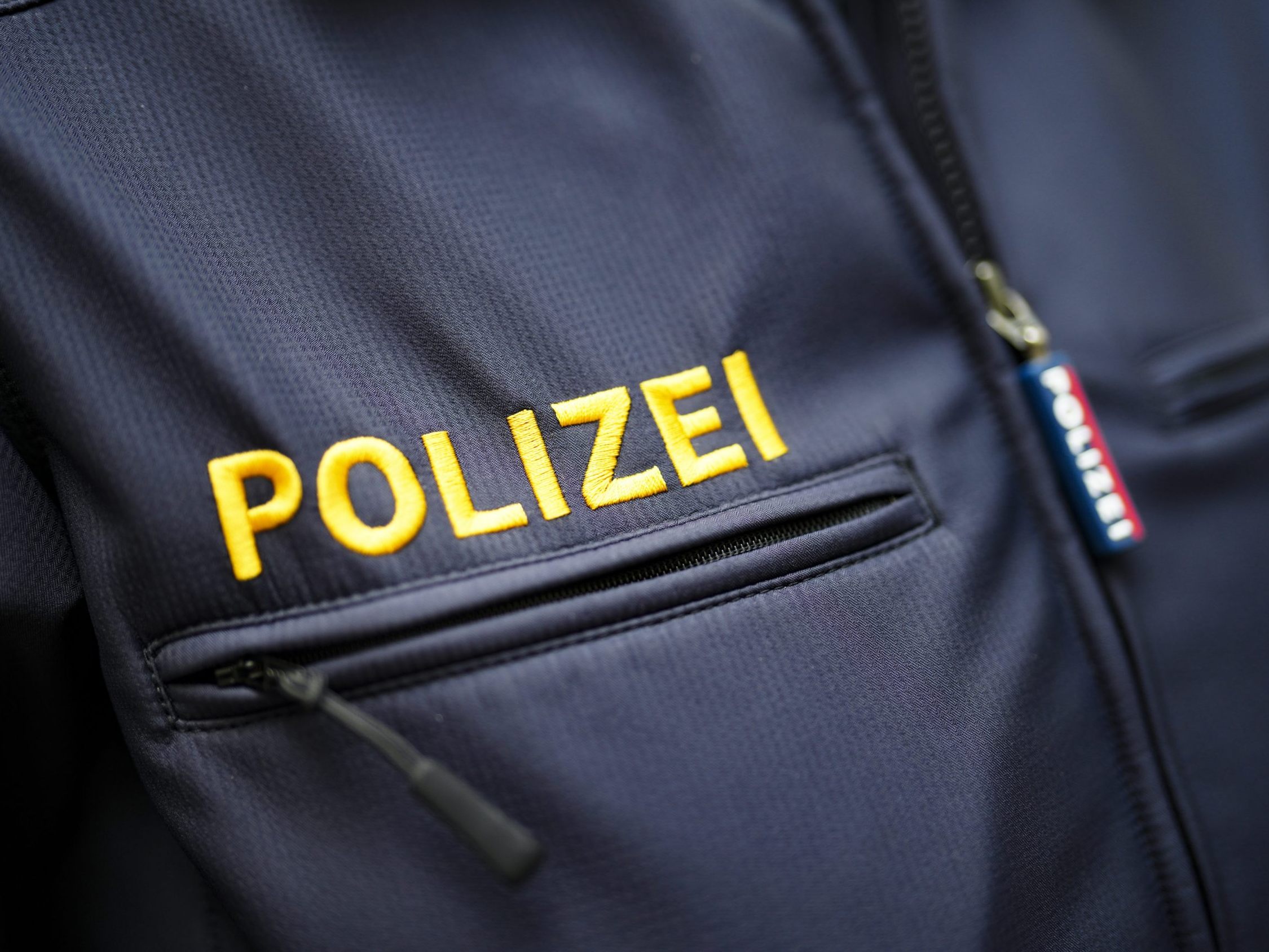 Die Wiener Polizei verhaftete den Betrunkenen. Die Wiener Polizei verhaftete den Betrunkenen.