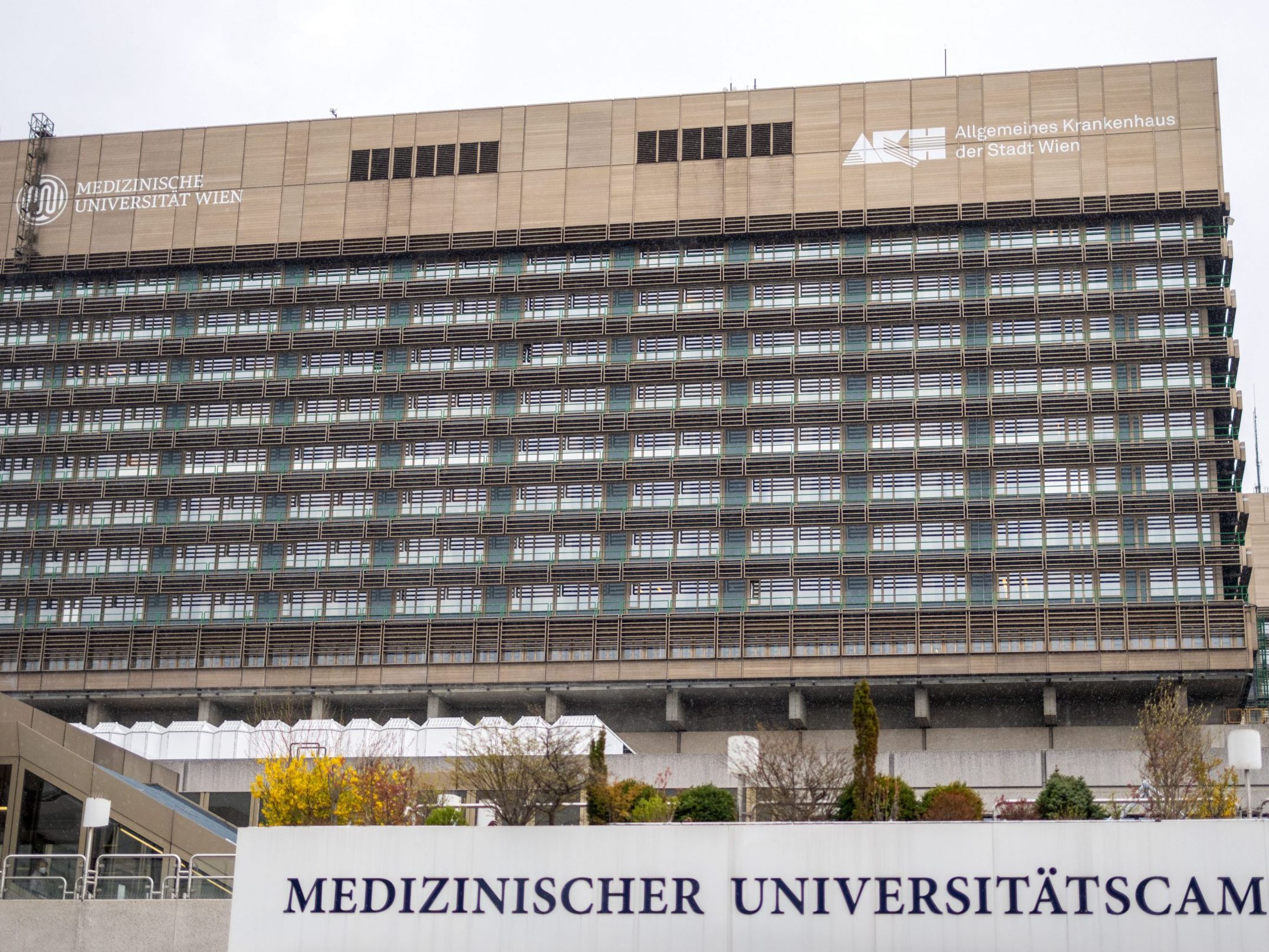 APA/GEORG HOCHMUTH (Symbolbild)