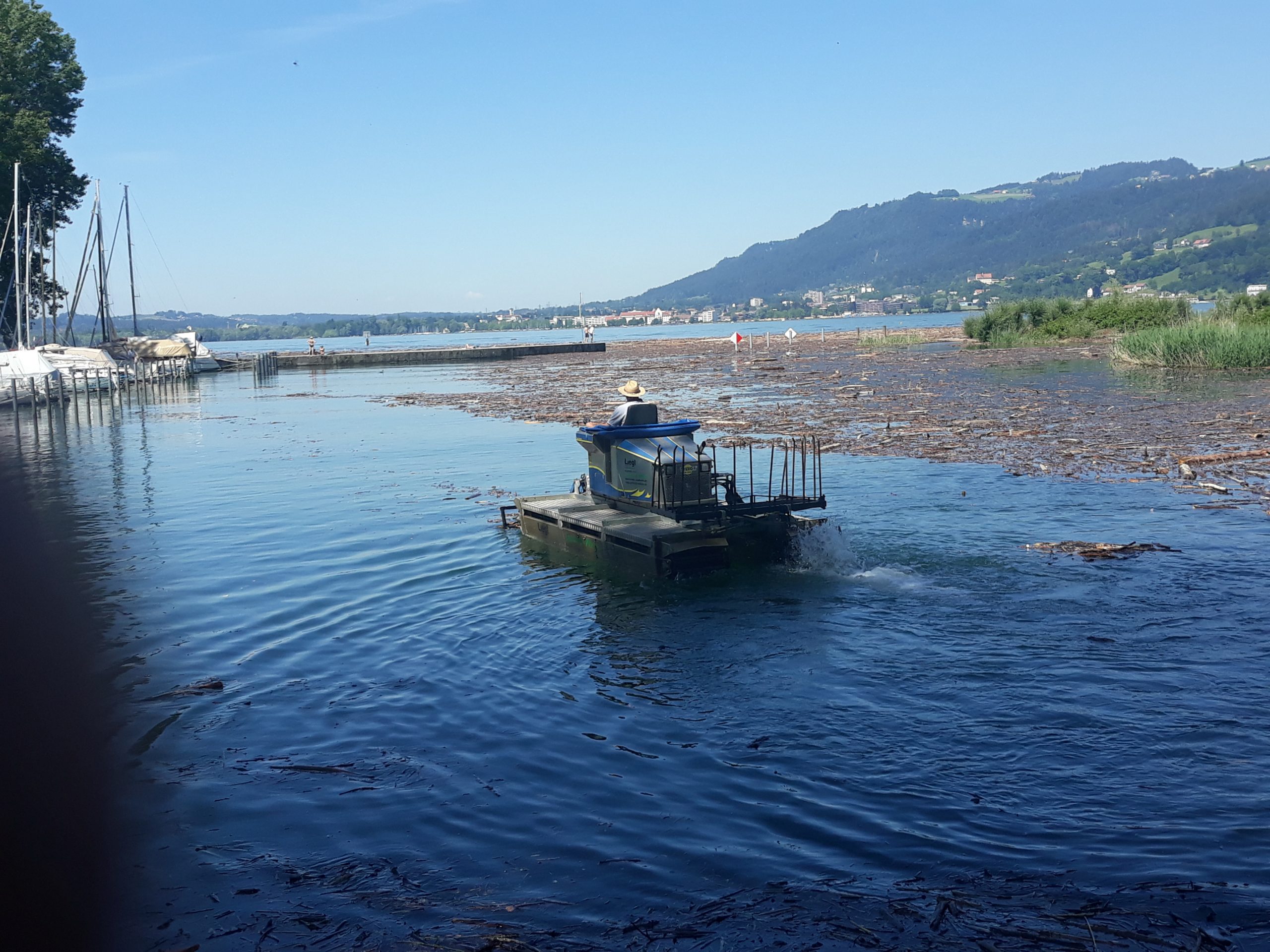 Bei der Bewältigung der Schwemmholz-Flut im August leisteten Bagger und Boote entscheidende Hilfe. 