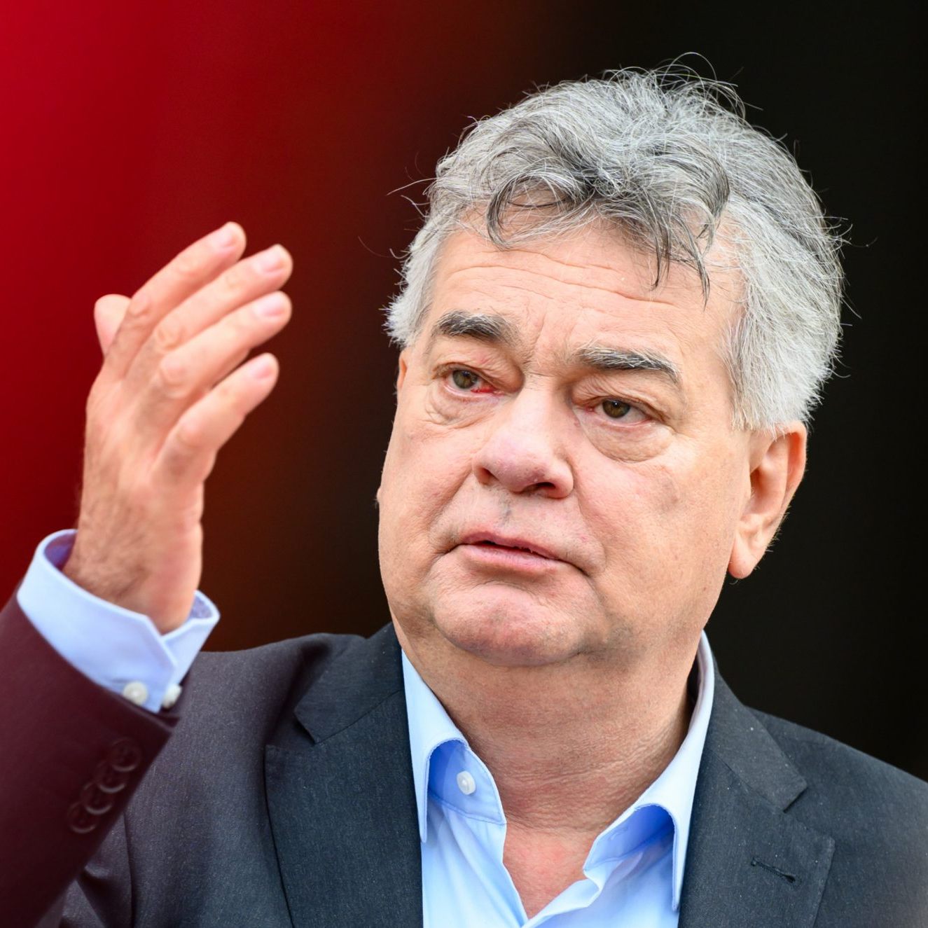 Werner Kogler nahm in der Rapid-Causa die Sponsoren in die Pflicht.