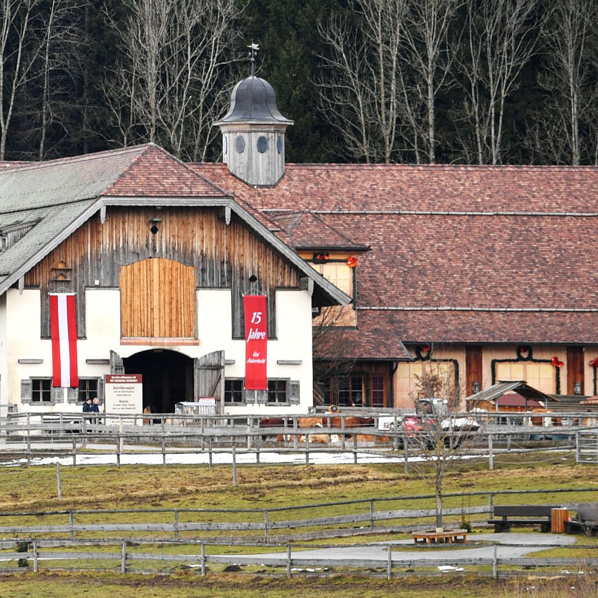 Neuer Rekord an geretteten Tieren.