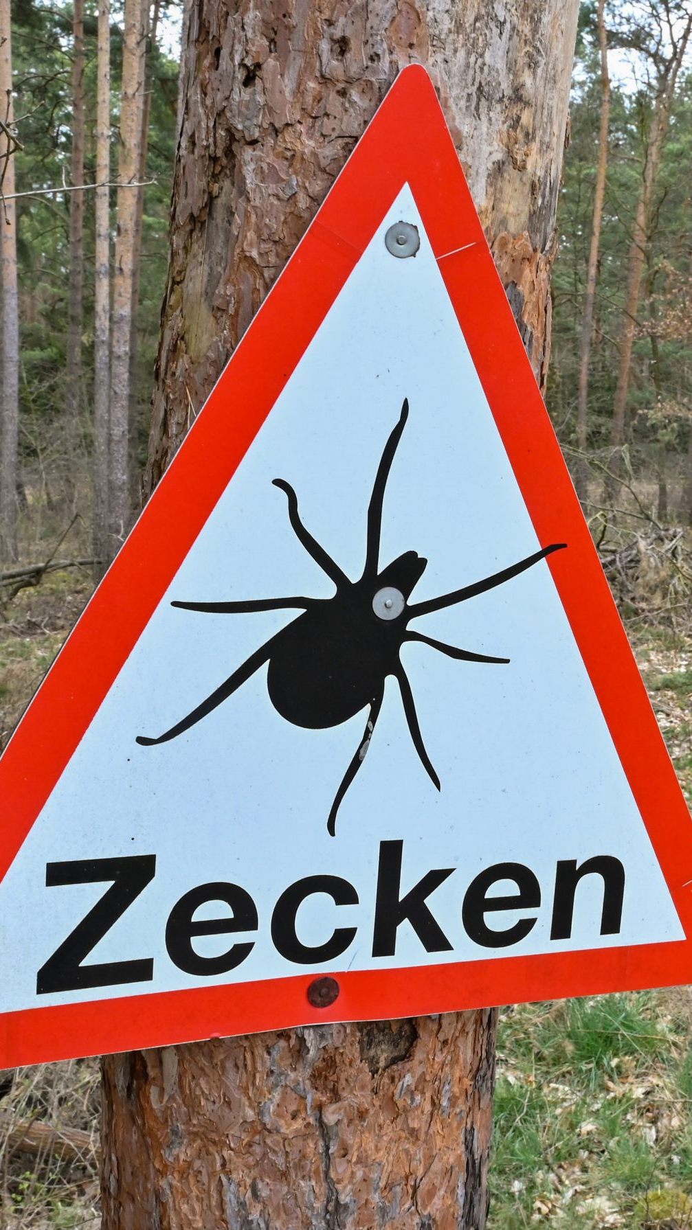 Um die Bevölkerung vor Zecken zu warnen, soll eine interaktive Karte erstellt werden.