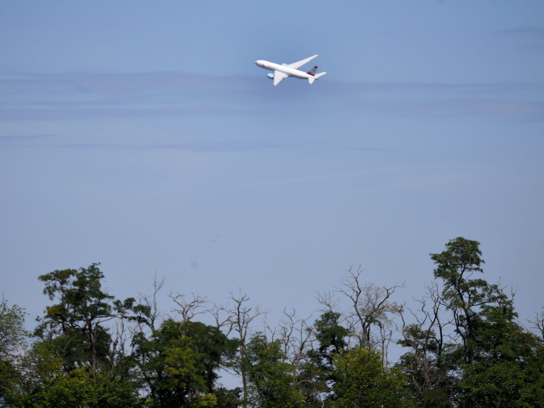 MA 11-Mitarbeiterinnen sind bereits im Flugzeug nach Frankfurt um die Kinder zurückzubringen. MA 11-Mitarbeiterinnen sind bereits im Flugzeug nach Frankfurt um die Kinder zurückzubringen.