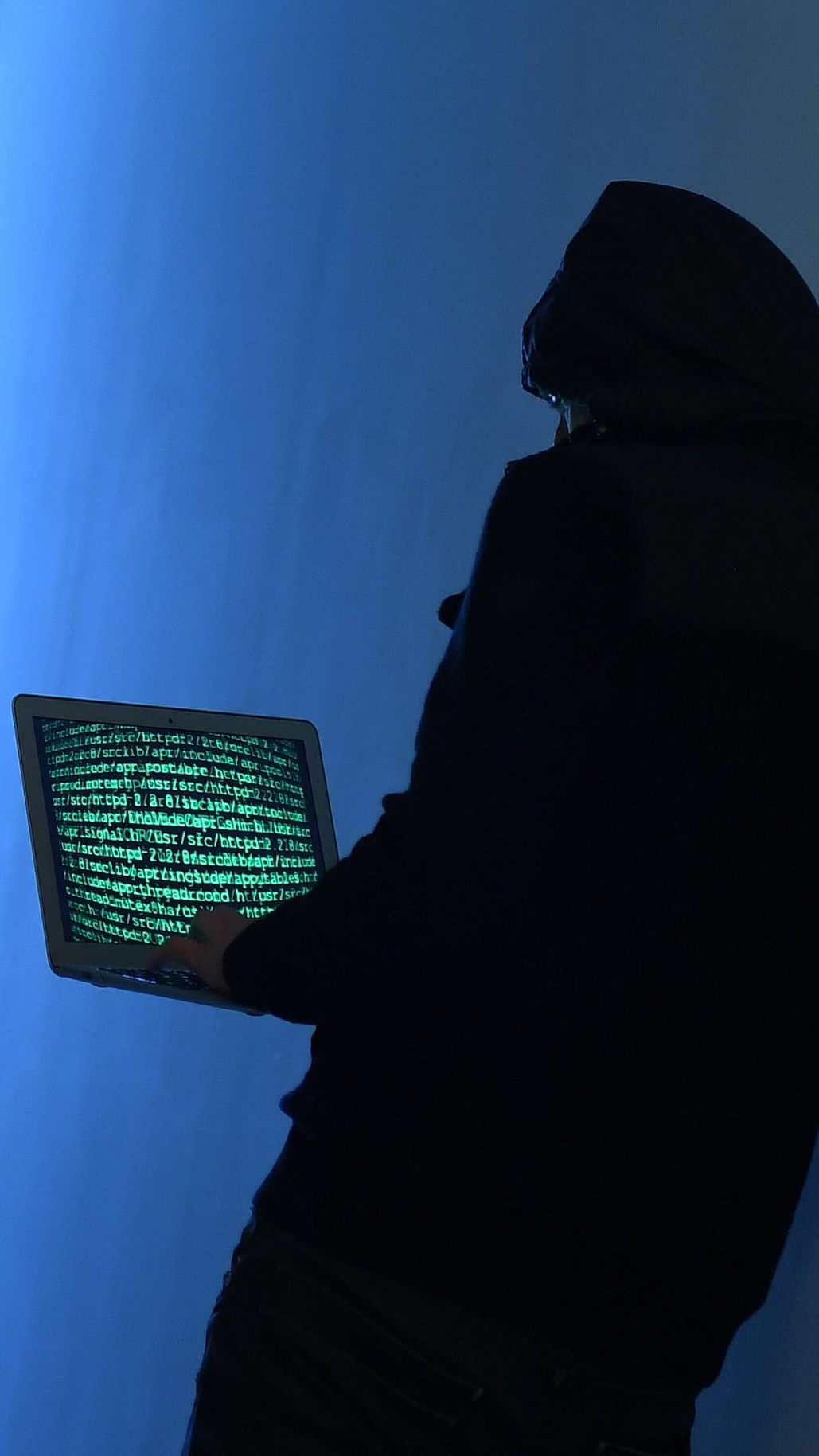 Hacker attackierten das WIFI NÖ.