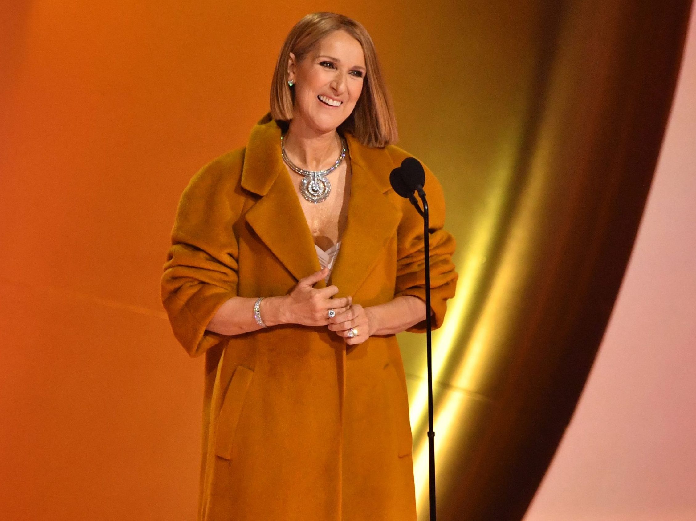 Celine Dion überraschte mit ihrem Auftritt bei den Grammys. Celine Dion überraschte mit ihrem Auftritt bei den Grammys.