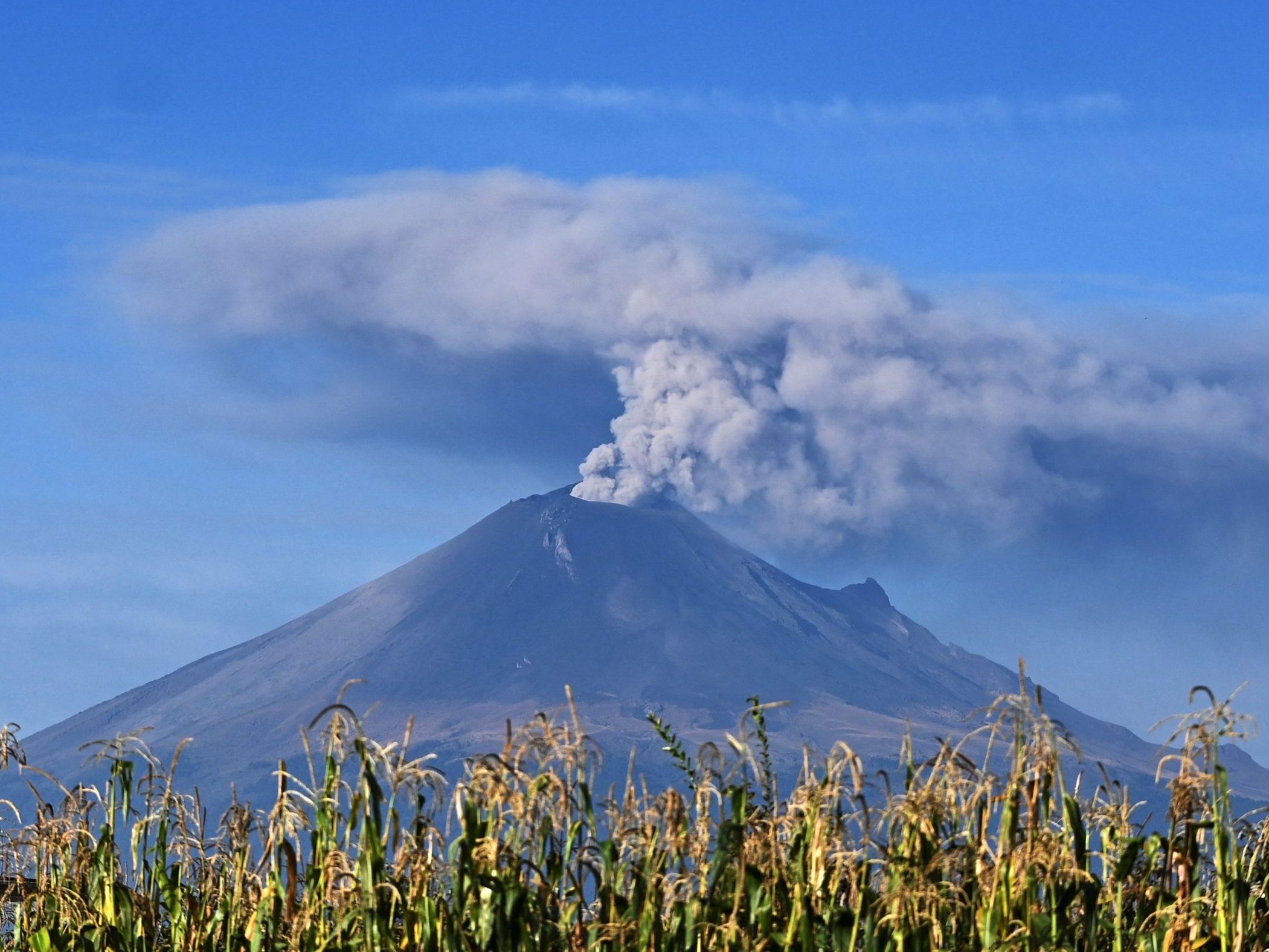 Die Aschewolke am Vulkan Popocatepetl sorgte für Flugausfälle. Die Aschewolke am Vulkan Popocatepetl sorgte für Flugausfälle.