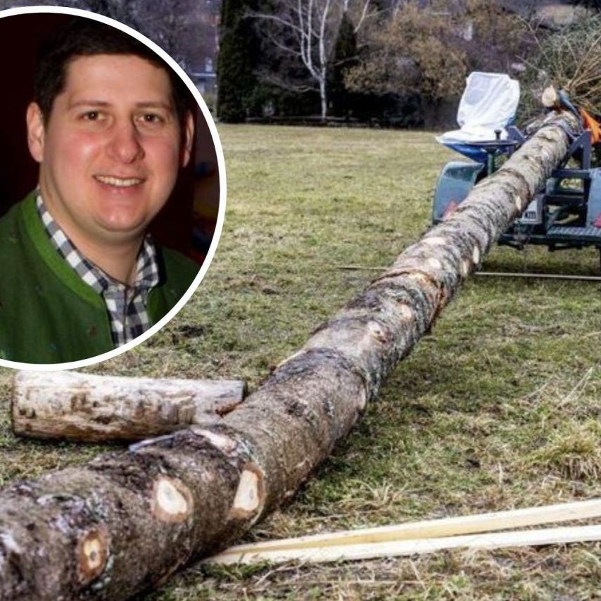 Schrunser Funkentanne soll jetzt in aller Eile durch eine neue Tanne ersetzt werden.