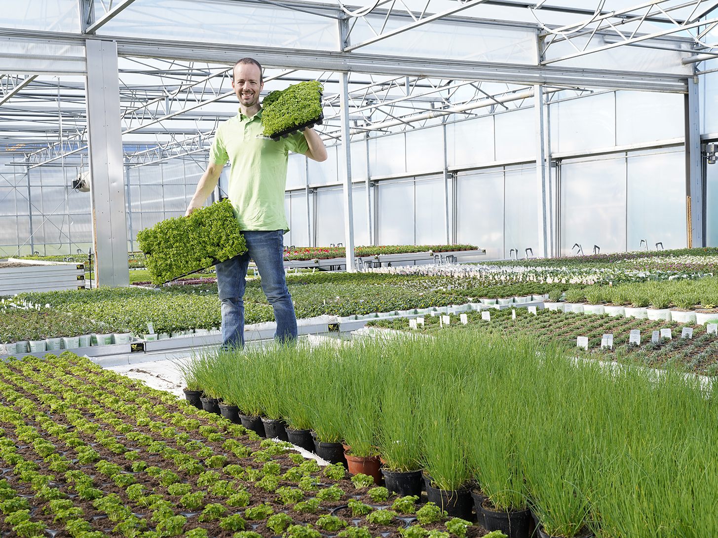 „Unser Erfolgsgeheimnis: Die Kräuter bekommen die notwendige Zeit, um genügend zu wachsen.“ Geschäftsführer Alexander Angeloff