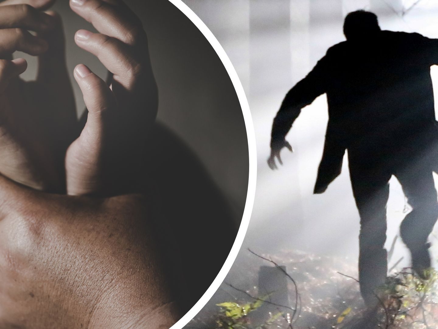 Beim Wienerberg kam es zu mehreren sexuellen Attacken gegen Frauen. Beim Wienerberg kam es zu mehreren sexuellen Attacken gegen Frauen.