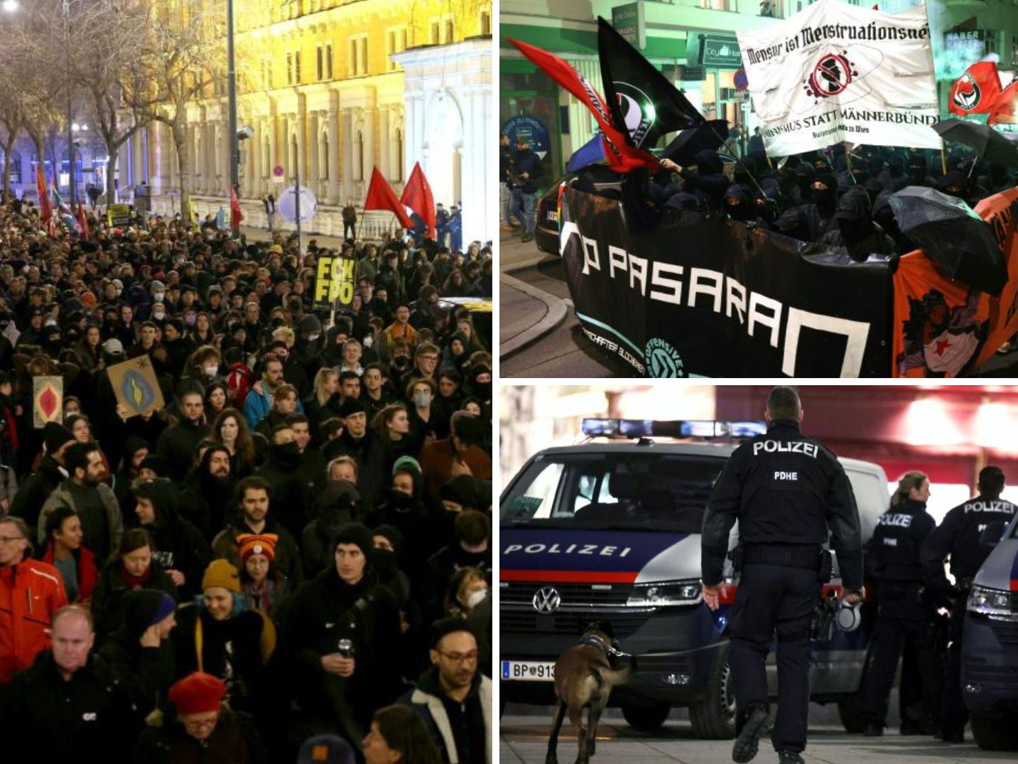 Der Akademikerball in Wien sorgt wieder für Proteste. Der Akademikerball in Wien sorgt wieder für Proteste.
