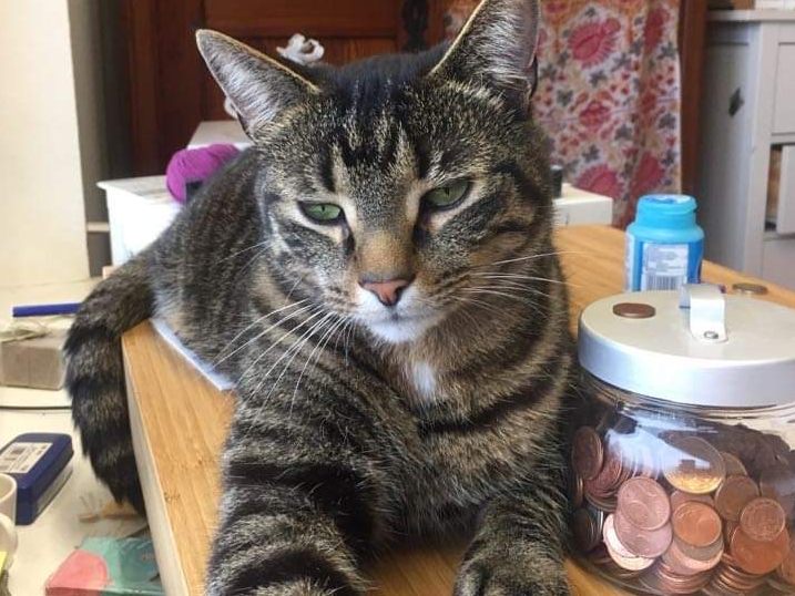 Tom