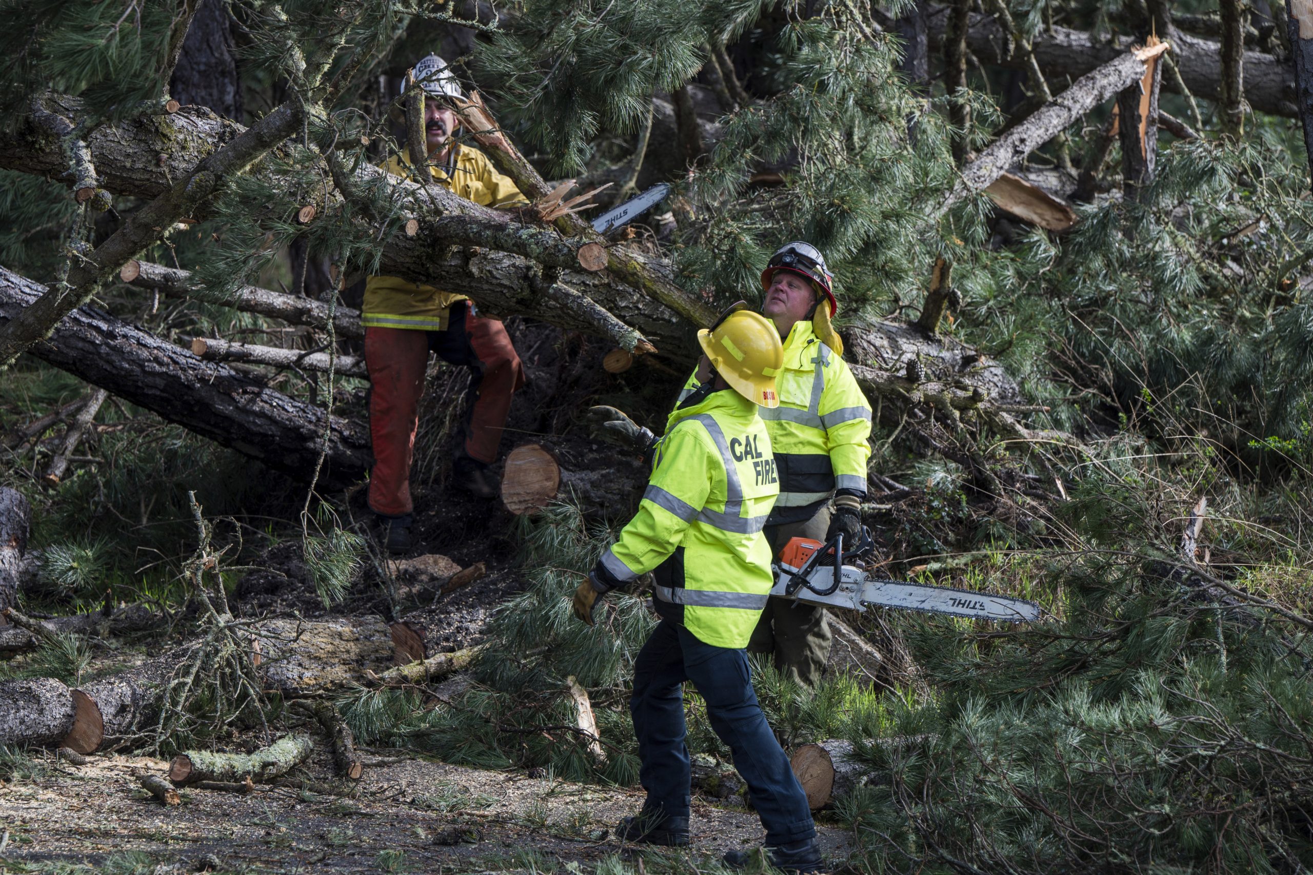 Einsatzkräfte räumen am Sonntag, 4. Februar 2024, in Monterey, Kalifornien, umgestürzte Bäume.  Einsatzkräfte räumen am Sonntag, 4. Februar 2024, in Monterey, Kalifornien, umgestürzte Bäume.