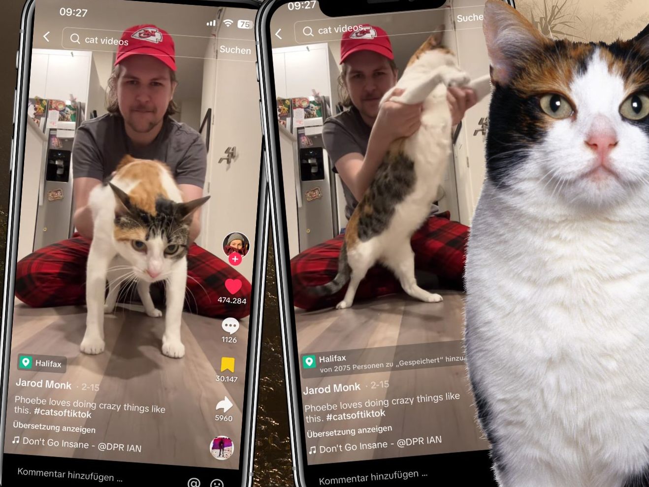 Tanzende Pfoten: Katzenbesitzer und sein Vierbeiner Tanzende Pfoten: Katzenbesitzer und sein Vierbeiner