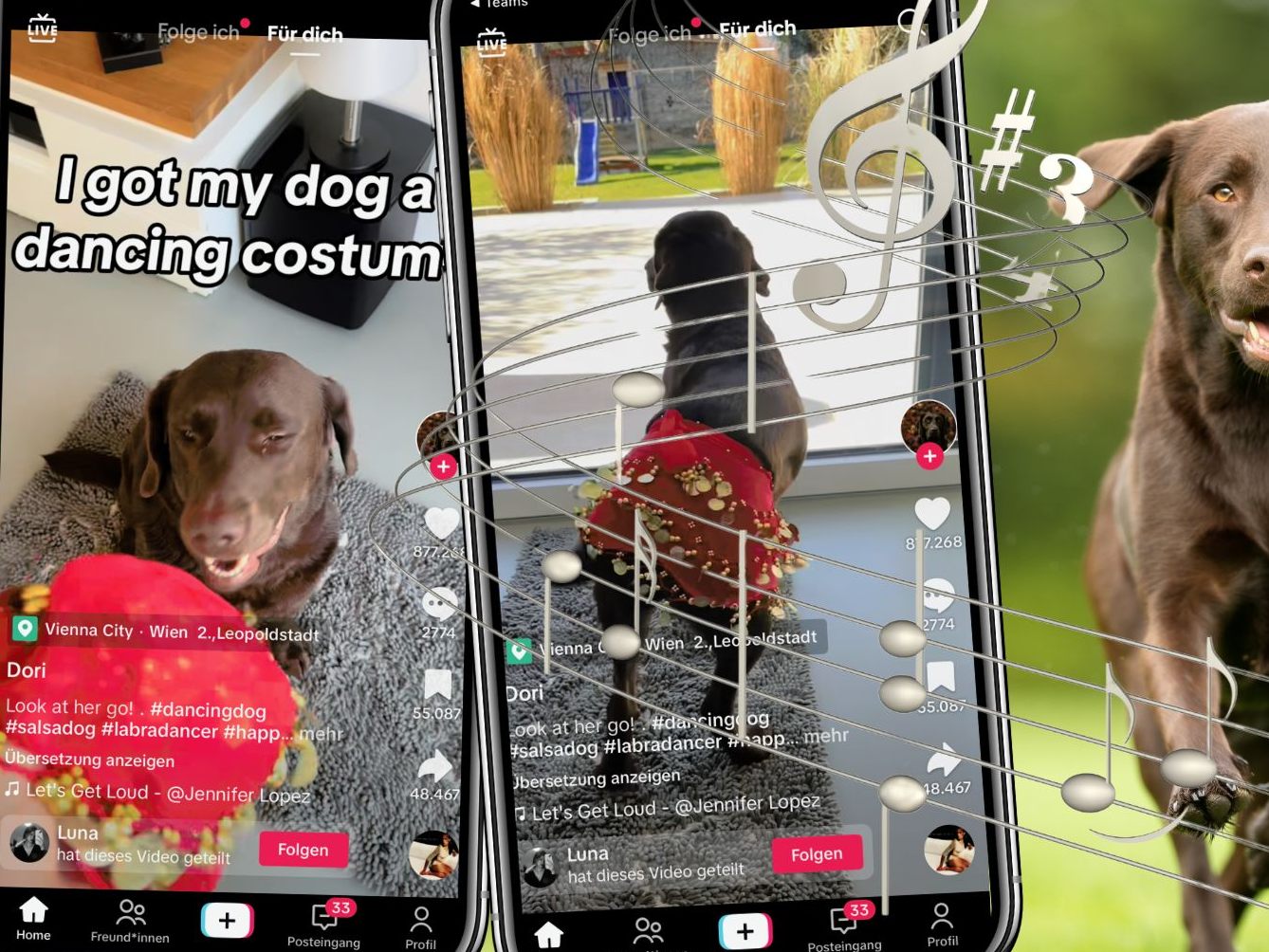 Ein Hund, gekleidet in ein entzückendes Tanzkostüm, hat das Internet im Sturm erobert, indem er seinen Popo auf eine Weise wackeln lässt, die Zuschauer weltweit zum Lachen und Staunen bringt. Ein Hund, gekleidet in ein entzückendes Tanzkostüm, hat das Internet im Sturm erobert, indem er seinen Popo auf eine Weise wackeln lässt, die Zuschauer weltweit zum Lachen und Staunen bringt.