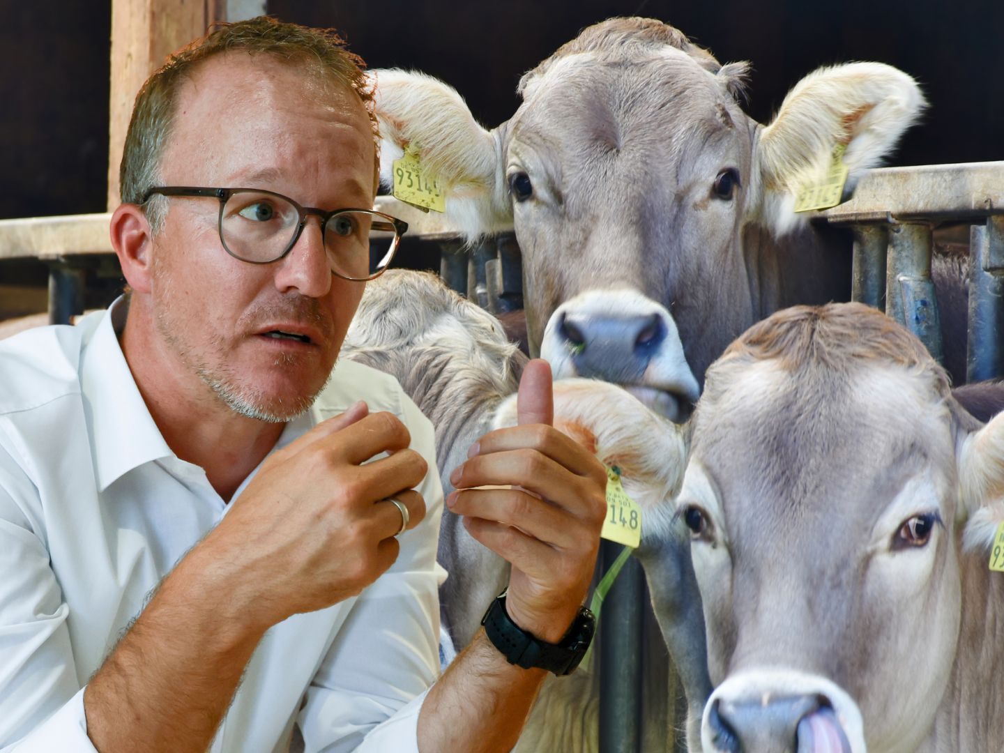 Einzelverträge zwischen Landwirten und Tierärzten ersetzen einen Rahmenvertrag