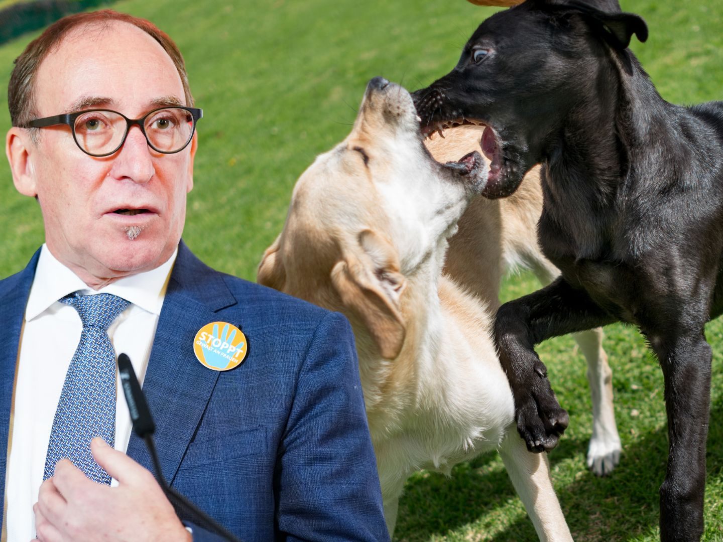 Novelle geht laut Minister Rauch nächste Woche in Begutachtung -