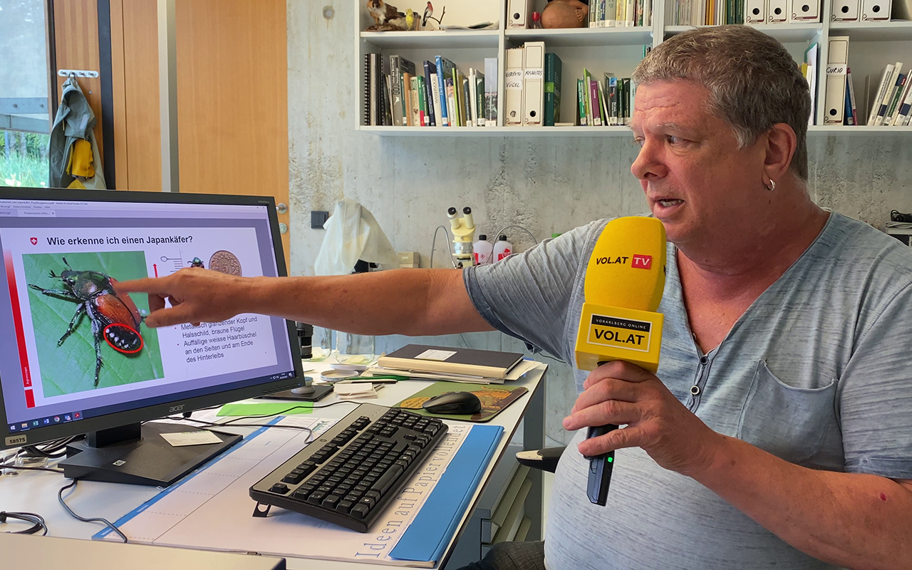 Durch den Klimawandel kommen immer mehr wärmeliebende Arten aus dem Mittelmeerraum in die Region und können hier dank der höheren Temperaturen auch den Winter überleben. Durch den Klimawandel kommen immer mehr wärmeliebende Arten aus dem Mittelmeerraum in die Region und können hier dank der höheren Temperaturen auch den Winter überleben.