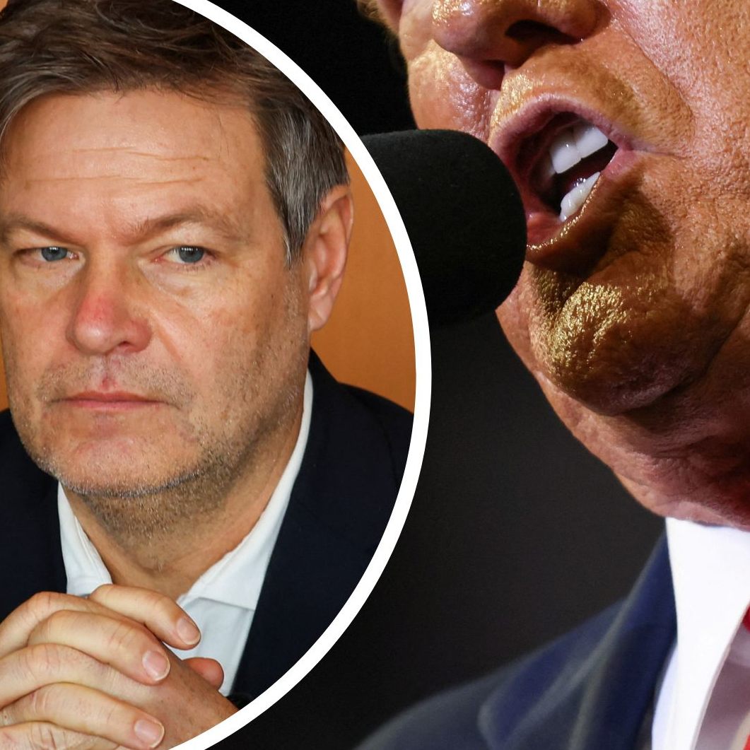 Deutscher Vizekanzler Habeck: Brauchen gemeinsame Rüstungsindustrie in Europa.